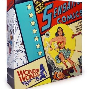 Wonder Woman in invisible jet.
2016 Comic-Con Collector Exclusive.